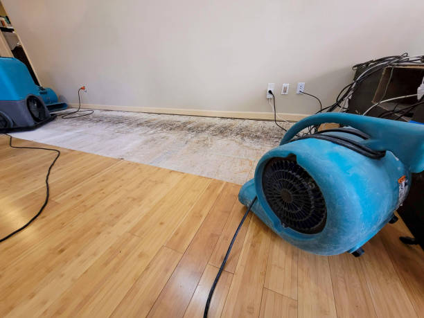 Professional Structural Drying technician working in Star, ID